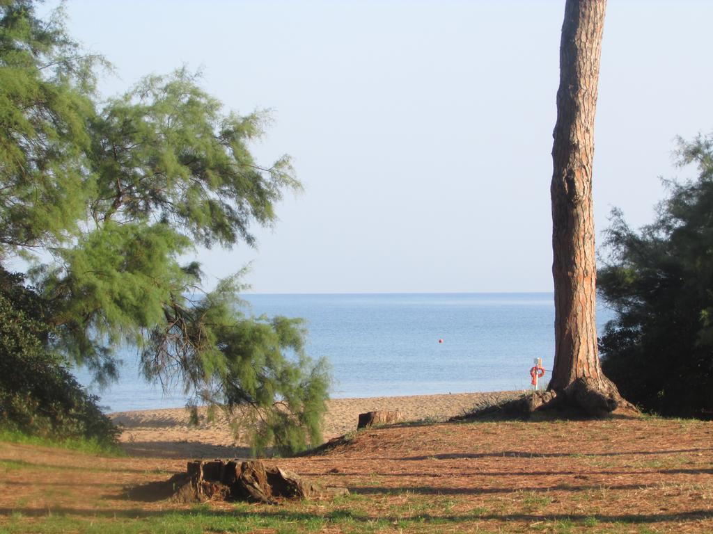 Azienda Agrituristica Allumiere Villa Campiglia Marittima Exteriör bild