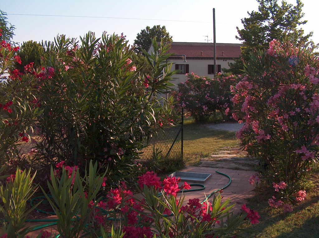Azienda Agrituristica Allumiere Villa Campiglia Marittima Exteriör bild