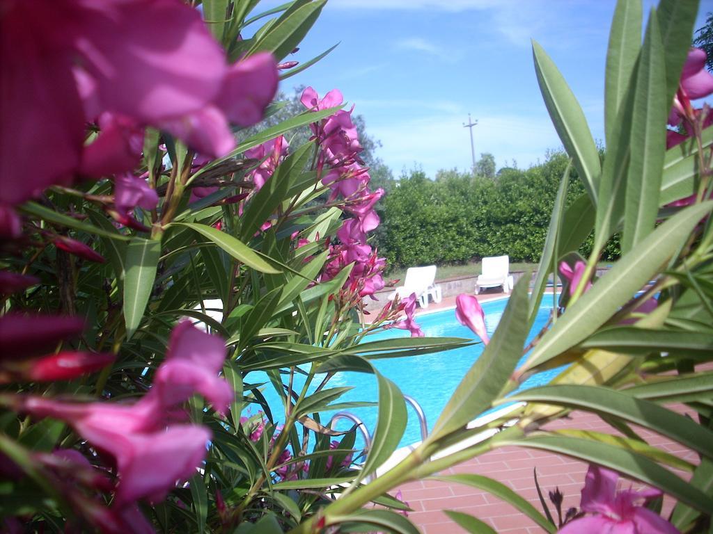 Azienda Agrituristica Allumiere Villa Campiglia Marittima Exteriör bild
